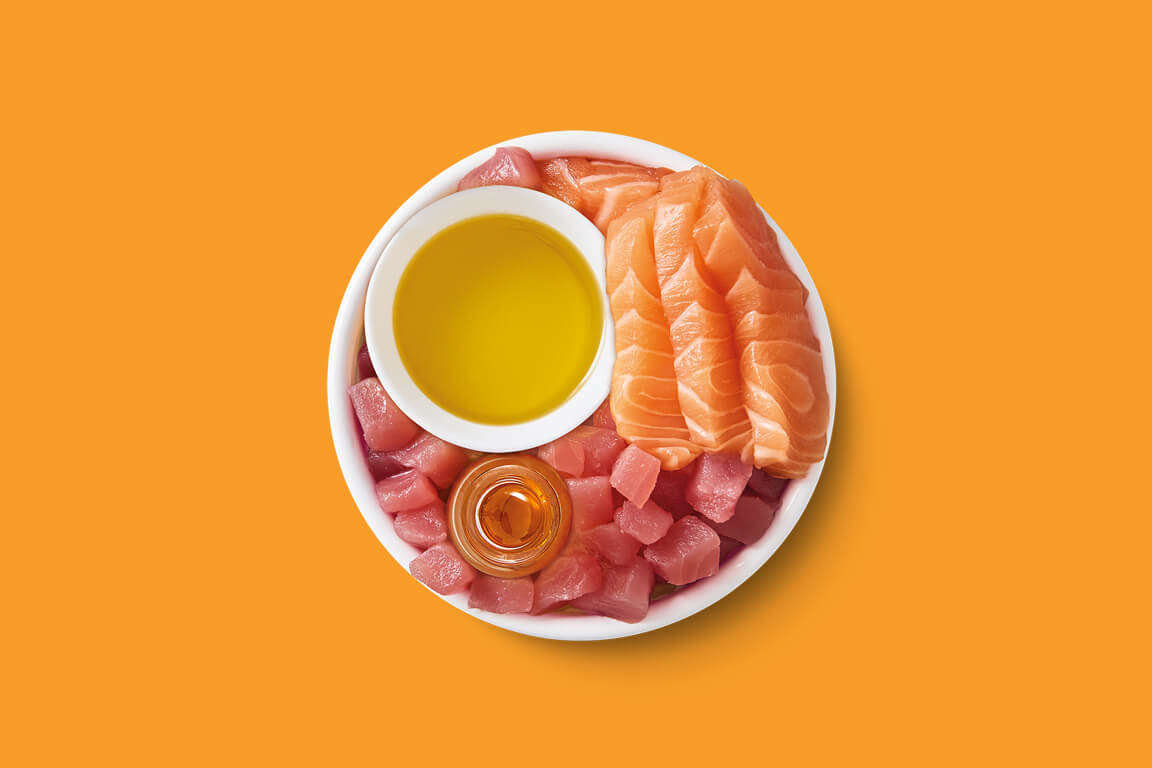Effilochés en bouillon au thon et saumon